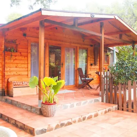 Madera En Bosque 100 Eco