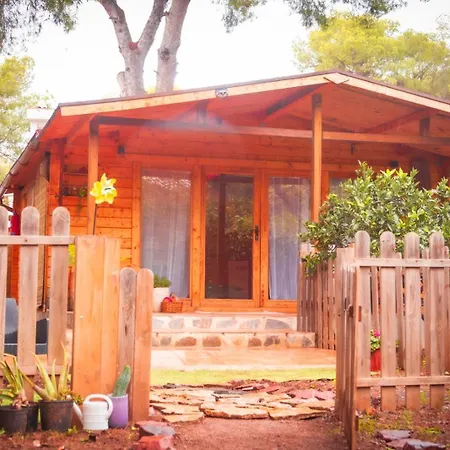 Madera En Bosque 100 Eco * Petres