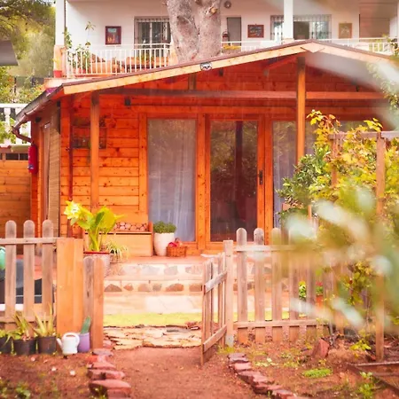 Chalet Madera En Bosque 100 Eco
