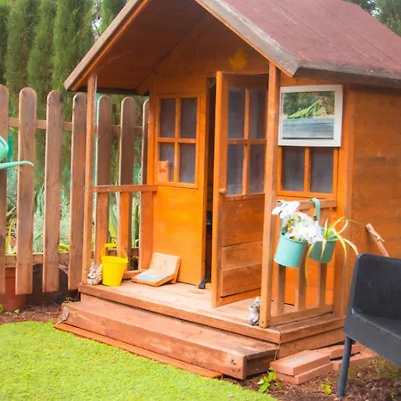 Madera En Bosque 100 Eco Petres