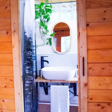 Madera En Bosque 100 Eco