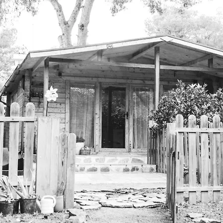 Madera En Bosque 100 Eco Chalet