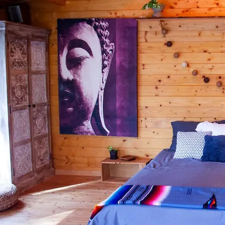 Chalet Madera En Bosque 100 Eco