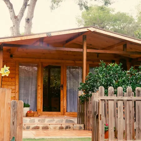 Madera En Bosque 100 Eco Chalet Petres