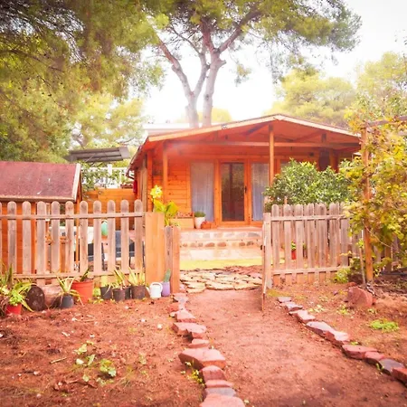 Chalet Madera En Bosque 100 Eco Petres