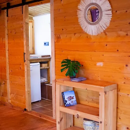 Madera En Bosque 100 Eco *