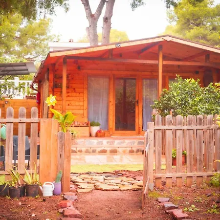Madera En Bosque 100 Eco Petres
