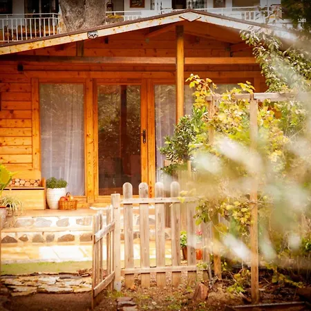 Madera En Bosque 100 Eco