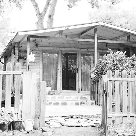 Madera En Bosque 100 Eco Chalet
