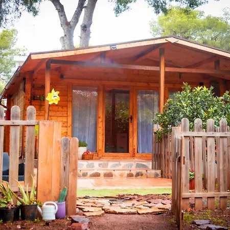 Chalet Madera En Bosque 100 Eco *