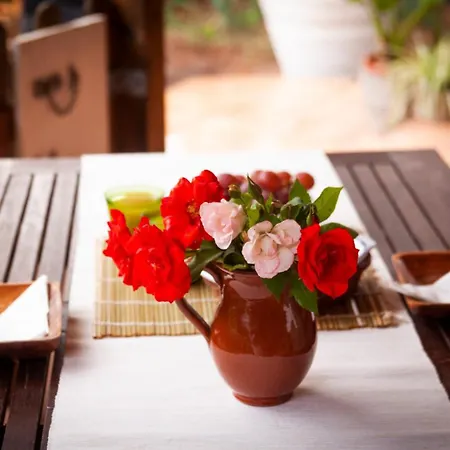Madera En Bosque 100 Eco *